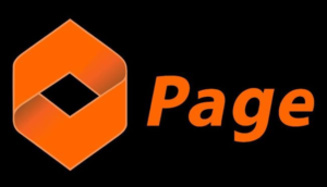Page Financials